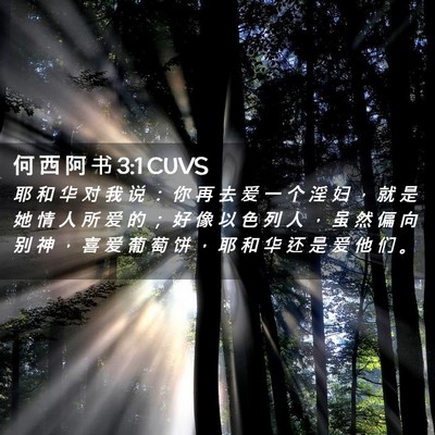 Picture 02 - 何 西 阿 书 3:1 CUVS - 耶 和 华 对 我 说 ： 你 再 去 爱 一 - Bible Verse Picture