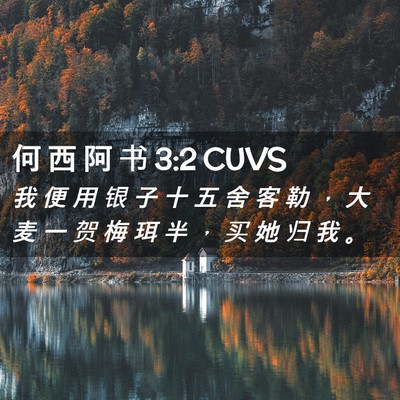 Picture 02 - 何 西 阿 书 3:2 CUVS - 我 便 用 银 子 十 五 舍 客 勒 ， 大 - Bible Verse Picture