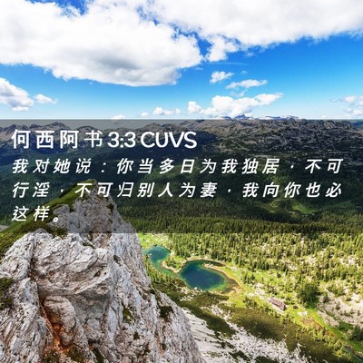 Picture 02 - 何 西 阿 书 3:3 CUVS - 我 对 她 说 ： 你 当 多 日 为 我 独 - Bible Verse Picture