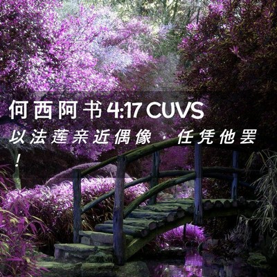 Picture 02 - 何 西 阿 书 4:17 CUVS - 以 法 莲 亲 近 偶 像 ， 任 凭 他 罢 - Bible Verse Picture