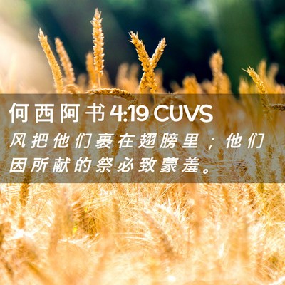 Picture 02 - 何 西 阿 书 4:19 CUVS - 风 把 他 们 裹 在 翅 膀 里 ； 他 们 - Bible Verse Picture