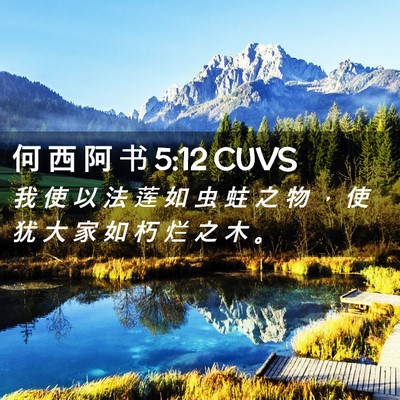 Picture 02 - 何 西 阿 书 5:12 CUVS - 我 使 以 法 莲 如 虫 蛀 之 物 ， 使 - Bible Verse Picture
