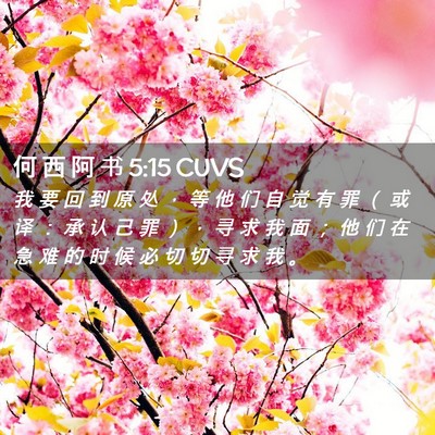 Picture 02 - 何 西 阿 书 5:15 CUVS - 我 要 回 到 原 处 ， 等 他 们 自 觉 - Bible Verse Picture