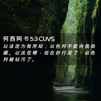 Picture 02 - 何 西 阿 书 5:3 CUVS - 以 法 莲 为 我 所 知 ； 以 色 列 不 - Bible Verse Picture