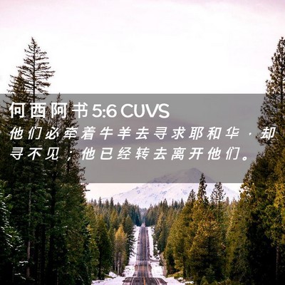 Picture 02 - 何 西 阿 书 5:6 CUVS - 他 们 必 牵 着 牛 羊 去 寻 求 耶 和 - Bible Verse Picture
