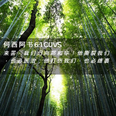Picture 02 - 何 西 阿 书 6:1 CUVS - 来 罢 ， 我 们 归 向 耶 和 华 ！ 他 - Bible Verse Picture