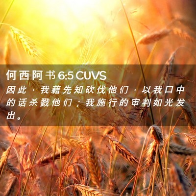 Picture 02 - 何 西 阿 书 6:5 CUVS - 因 此 ， 我 藉 先 知 砍 伐 他 们 ， - Bible Verse Picture