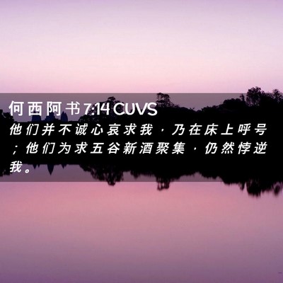 Picture 02 - 何 西 阿 书 7:14 CUVS - 他 们 并 不 诚 心 哀 求 我 ， 乃 在 - Bible Verse Picture