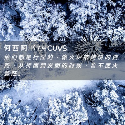 Picture 02 - 何 西 阿 书 7:4 CUVS - 他 们 都 是 行 淫 的 ， 像 火 炉 被 - Bible Verse Picture