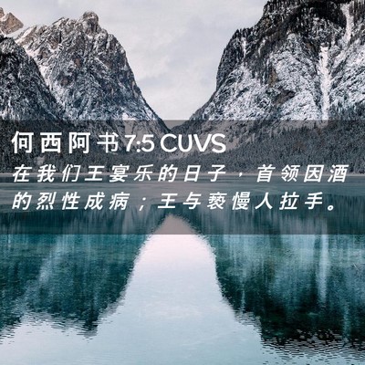 Picture 02 - 何 西 阿 书 7:5 CUVS - 在 我 们 王 宴 乐 的 日 子 ， 首 领 - Bible Verse Picture