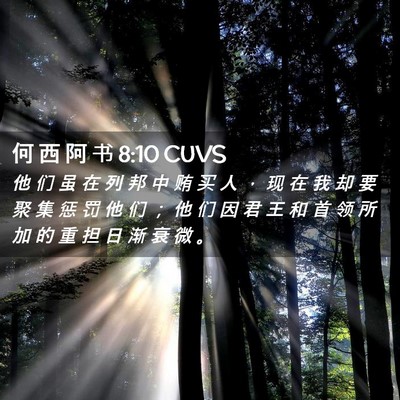 Picture 02 - 何 西 阿 书 8:10 CUVS - 他 们 虽 在 列 邦 中 贿 买 人 ， 现 - Bible Verse Picture