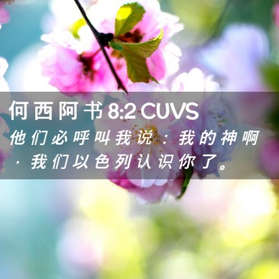 Picture 02 - 何 西 阿 书 8:2 CUVS - 他 们 必 呼 叫 我 说 ： 我 的 神 啊 - Bible Verse Picture