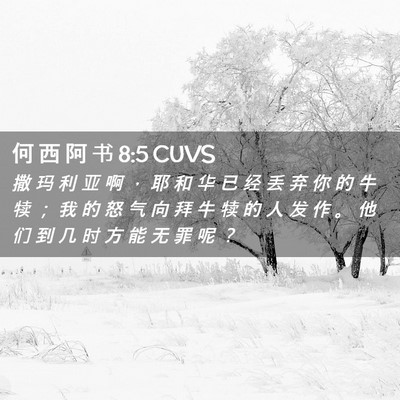 Picture 02 - 何 西 阿 书 8:5 CUVS - 撒 玛 利 亚 啊 ， 耶 和 华 已 经 丢 - Bible Verse Picture