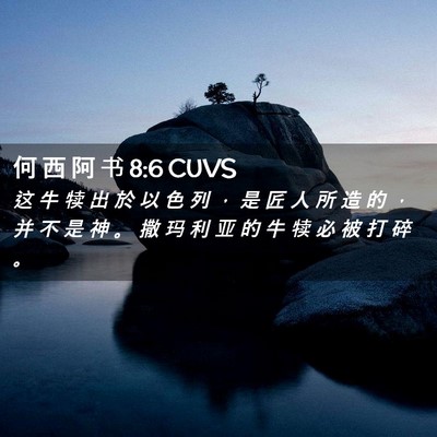 Picture 02 - 何 西 阿 书 8:6 CUVS - 这 牛 犊 出 於 以 色 列 ， 是 匠 人 - Bible Verse Picture