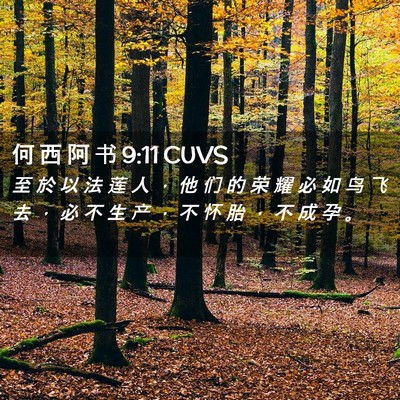 Picture 02 - 何 西 阿 书 9:11 CUVS - 至 於 以 法 莲 人 ， 他 们 的 荣 耀 - Bible Verse Picture