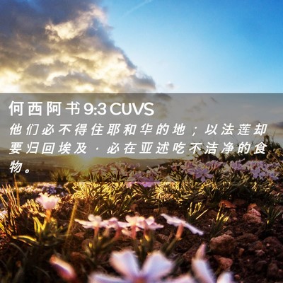 Picture 02 - 何 西 阿 书 9:3 CUVS - 他 们 必 不 得 住 耶 和 华 的 地 ； - Bible Verse Picture
