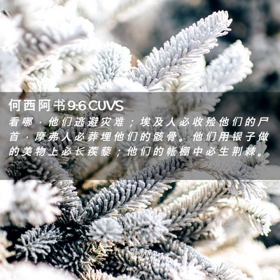 Picture 02 - 何 西 阿 书 9:6 CUVS - 看 哪 ， 他 们 逃 避 灾 难 ； 埃 及 - Bible Verse Picture