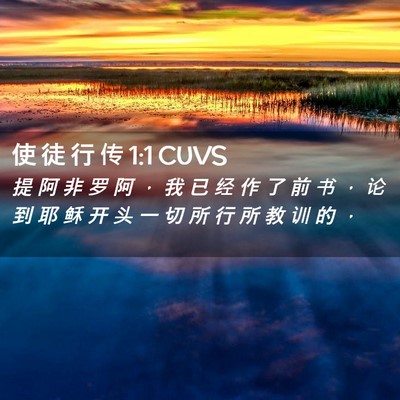 Picture 02 - 使 徒 行 传 1:1 CUVS - 提 阿 非 罗 阿 ， 我 已 经 作 了 前 - Bible Verse Picture