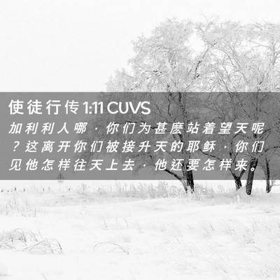 Picture 02 - 使 徒 行 传 1:11 CUVS - 加 利 利 人 哪 ， 你 们 为 甚 麽 站 - Bible Verse Picture