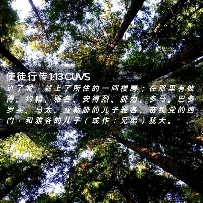 Picture 02 - 使 徒 行 传 1:13 CUVS - 进 了 城 ， 就 上 了 所 住 的 一 间 - Bible Verse Picture