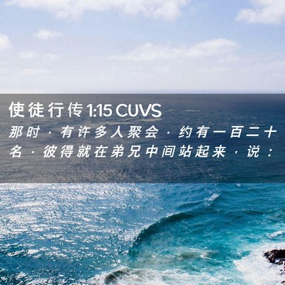 Picture 02 - 使 徒 行 传 1:15 CUVS - 那 时 ， 有 许 多 人 聚 会 ， 约 有 - Bible Verse Picture