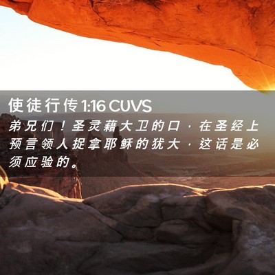 Picture 02 - 使 徒 行 传 1:16 CUVS - 弟 兄 们 ！ 圣 灵 藉 大 卫 的 口 ， - Bible Verse Picture