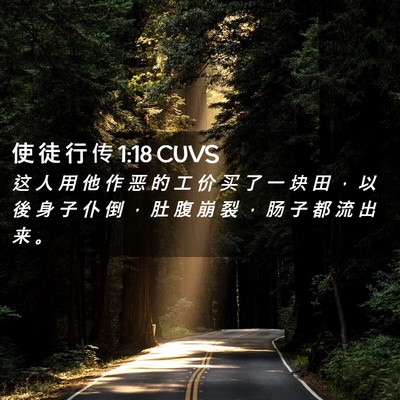 Picture 02 - 使 徒 行 传 1:18 CUVS - 这 人 用 他 作 恶 的 工 价 买 了 一 - Bible Verse Picture