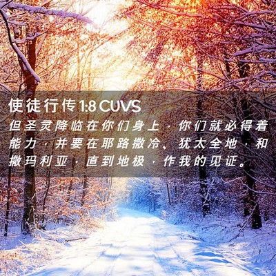 Picture 02 - 使 徒 行 传 1:8 CUVS - 但 圣 灵 降 临 在 你 们 身 上 ， 你 - Bible Verse Picture