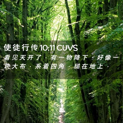 Picture 02 - 使 徒 行 传 10:11 CUVS - 看 见 天 开 了 ， 有 一 物 降 下 ， - Bible Verse Picture