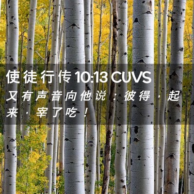 Picture 02 - 使 徒 行 传 10:13 CUVS - 又 有 声 音 向 他 说 ： 彼 得 ， 起 - Bible Verse Picture