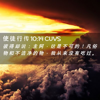 Picture 02 - 使 徒 行 传 10:14 CUVS - 彼 得 却 说 ： 主 阿 ， 这 是 不 可 - Bible Verse Picture