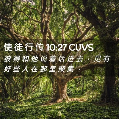 Picture 02 - 使 徒 行 传 10:27 CUVS - 彼 得 和 他 说 着 话 进 去 ， 见 有 - Bible Verse Picture