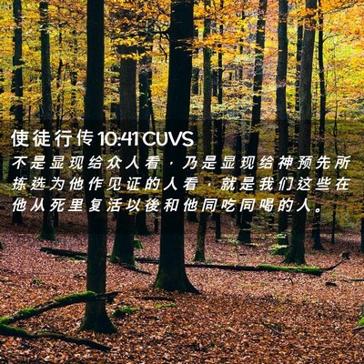 Picture 02 - 使 徒 行 传 10:41 CUVS - 不 是 显 现 给 众 人 看 ， 乃 是 显 - Bible Verse Picture