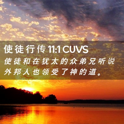 Picture 02 - 使 徒 行 传 11:1 CUVS - 使 徒 和 在 犹 太 的 众 弟 兄 听 说 - Bible Verse Picture