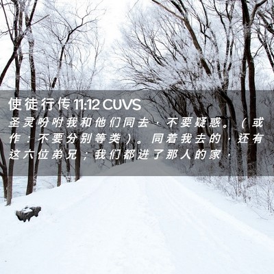 Picture 02 - 使 徒 行 传 11:12 CUVS - 圣 灵 吩 咐 我 和 他 们 同 去 ， 不 - Bible Verse Picture