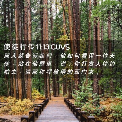 Picture 02 - 使 徒 行 传 11:13 CUVS - 那 人 就 告 诉 我 们 ， 他 如 何 看 - Bible Verse Picture