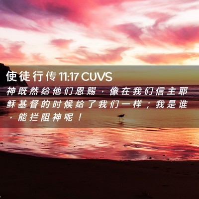 Picture 02 - 使 徒 行 传 11:17 CUVS - 神 既 然 给 他 们 恩 赐 ， 像 在 我 - Bible Verse Picture