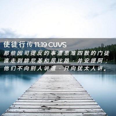 Picture 02 - 使 徒 行 传 11:19 CUVS - 那 些 因 司 提 反 的 事 遭 患 难 四 - Bible Verse Picture