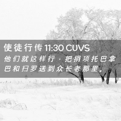 Picture 02 - 使 徒 行 传 11:30 CUVS - 他 们 就 这 样 行 ， 把 捐 项 托 巴 - Bible Verse Picture
