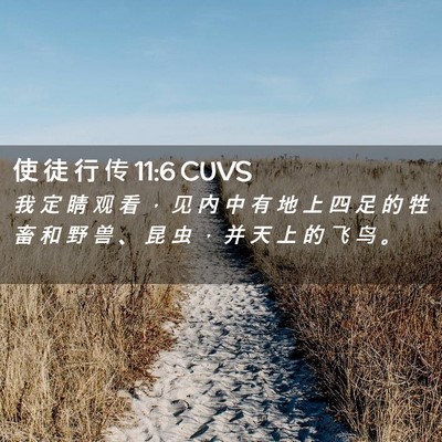Picture 02 - 使 徒 行 传 11:6 CUVS - 我 定 睛 观 看 ， 见 内 中 有 地 上 - Bible Verse Picture