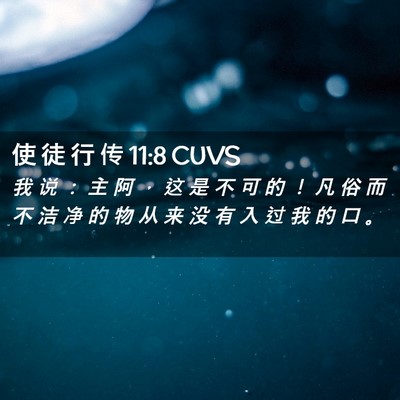 Picture 02 - 使 徒 行 传 11:8 CUVS - 我 说 ： 主 阿 ， 这 是 不 可 的 ！ - Bible Verse Picture