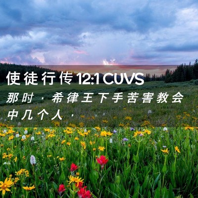 Picture 02 - 使 徒 行 传 12:1 CUVS - 那 时 ， 希 律 王 下 手 苦 害 教 会 - Bible Verse Picture