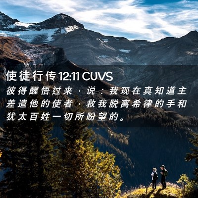 Picture 02 - 使 徒 行 传 12:11 CUVS - 彼 得 醒 悟 过 来 ， 说 ： 我 现 在 - Bible Verse Picture