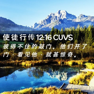 Picture 02 - 使 徒 行 传 12:16 CUVS - 彼 得 不 住 的 敲 门 。 他 们 开 了 - Bible Verse Picture