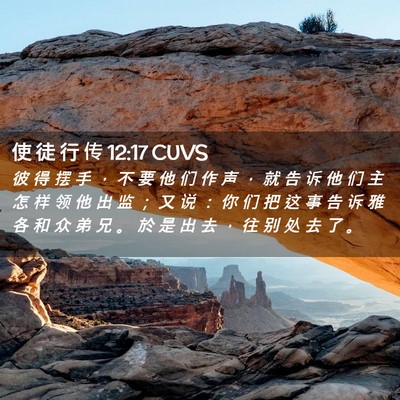 Picture 02 - 使 徒 行 传 12:17 CUVS - 彼 得 摆 手 ， 不 要 他 们 作 声 ， - Bible Verse Picture