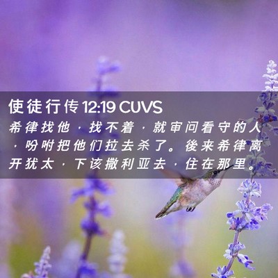 Picture 02 - 使 徒 行 传 12:19 CUVS - 希 律 找 他 ， 找 不 着 ， 就 审 问 - Bible Verse Picture
