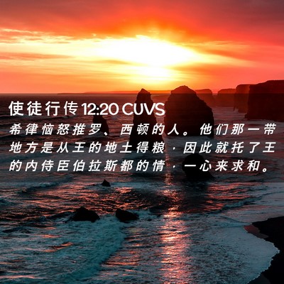 Picture 02 - 使 徒 行 传 12:20 CUVS - 希 律 恼 怒 推 罗 、 西 顿 的 人 。 - Bible Verse Picture