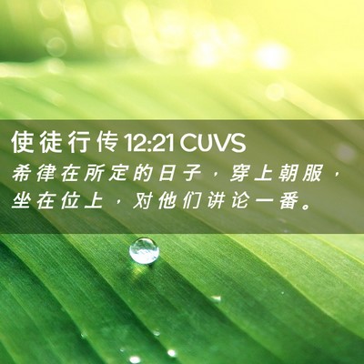 Picture 02 - 使 徒 行 传 12:21 CUVS - 希 律 在 所 定 的 日 子 ， 穿 上 朝 - Bible Verse Picture