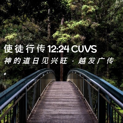 Picture 02 - 使 徒 行 传 12:24 CUVS - 神 的 道 日 见 兴 旺 ， 越 发 广 传 - Bible Verse Picture