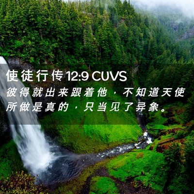Picture 02 - 使 徒 行 传 12:9 CUVS - 彼 得 就 出 来 跟 着 他 ， 不 知 道 - Bible Verse Picture